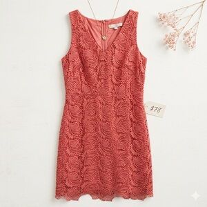 NWT LOFT Coral Pink Floral Lace Sheath Dress Size 6 $98